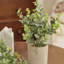 Ensemble de 2 pots d'eucalyptus et romarin 9,5 po Fake Plants