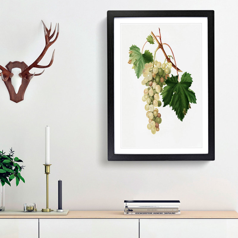 Muscat Grapes by Giorgio Gallesio - Picture Frame Painting Print, 48cm H x 36cm W x 2cm D, Black Framed