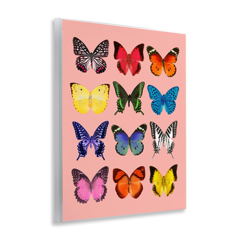 «Butterfly Species on Pink», plaque murale par Lish Creative