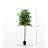Hand-Made Primrue Modern 6.5'' Artificial Ficus Tree