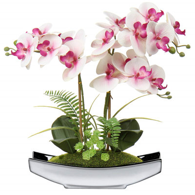 Runck Arrangement