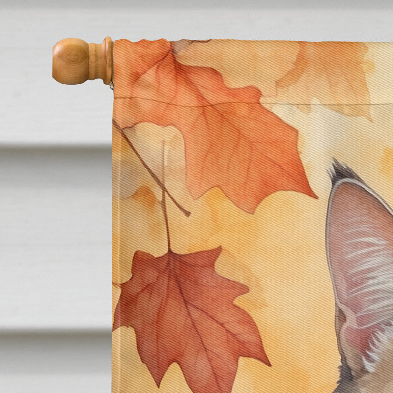 Chat en feuilles d'automne, Bobtail américain