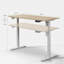 Aario One Piece Electric Height Adjustable Standing Desk with USB Charger-1704432458-1704432461