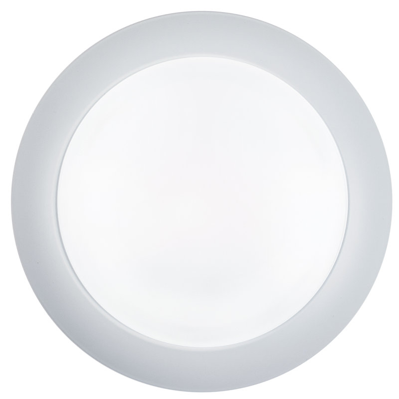 Kynlyn Acrylic LED Flush Mount