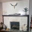 Rustic Animals Wall Decor on Resin