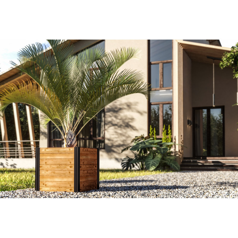 Mezza 22" Golden Brown Cedar Cube Planter with Modern Minimalist Design