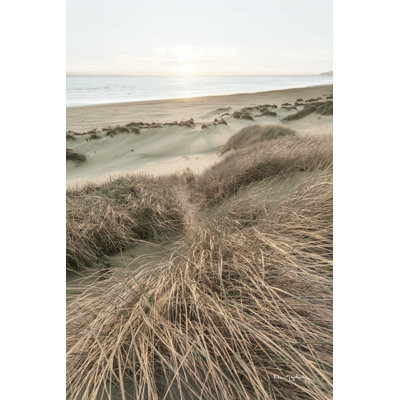 Herbes de plage