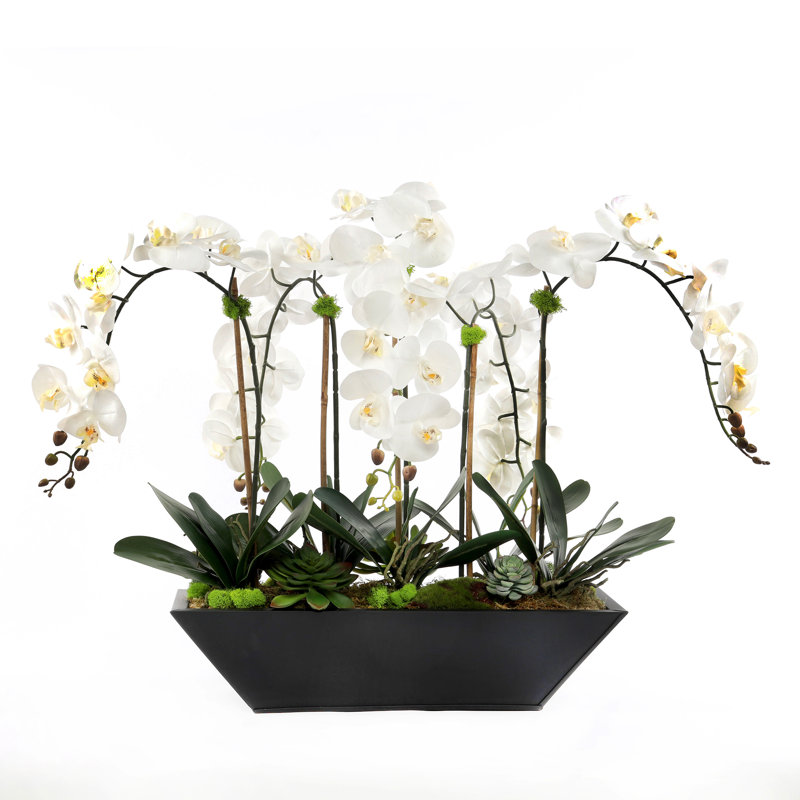 Real Touch Phalaenopsis Orchid Floral Arrangement in Pot