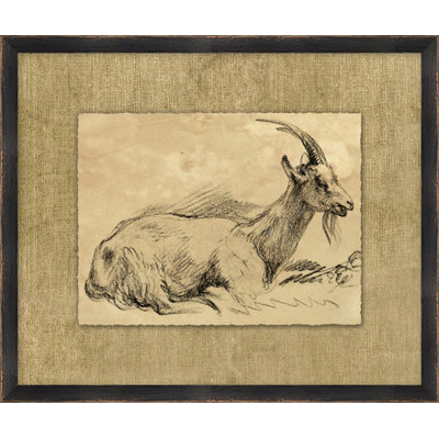 Charcoal Animal Collection 1 Print