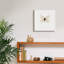 «Papillon blanc» par PhotoINC Studio-655522337