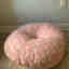 Customer photo 2 of 2