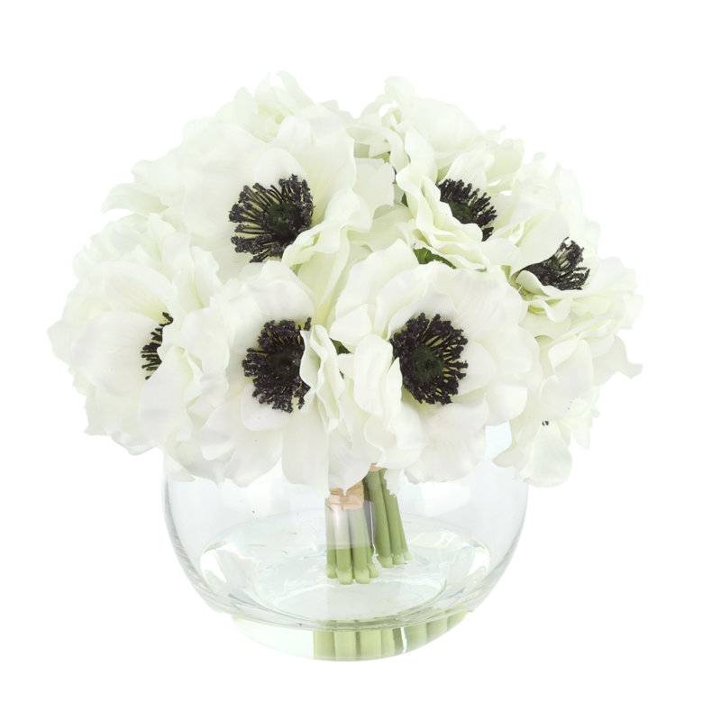 Anémone disposée dans un vase en verre