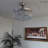 Elfete 20'' Ceiling Fan with LED Lights