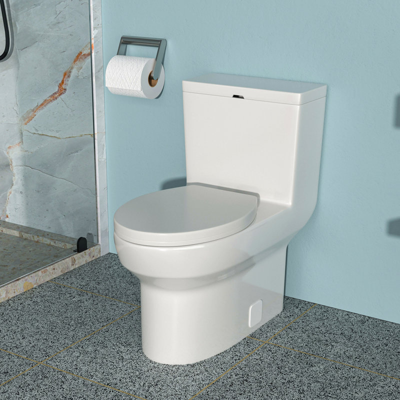 Ceramic One Piece Toilet,Dual Flush With Soft Clsoing Seat