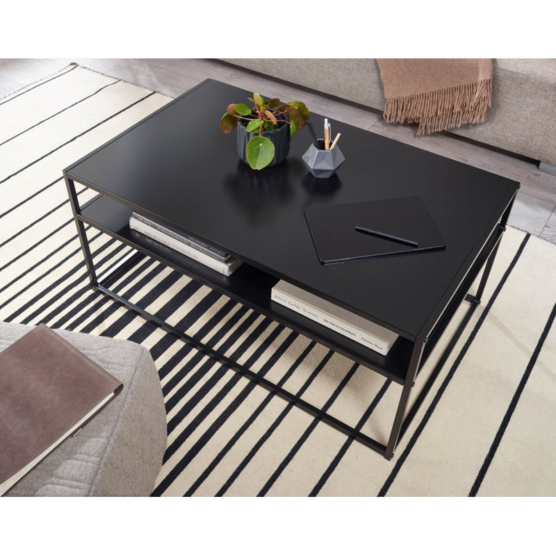 Kitten Frame Coffee Table with Storage