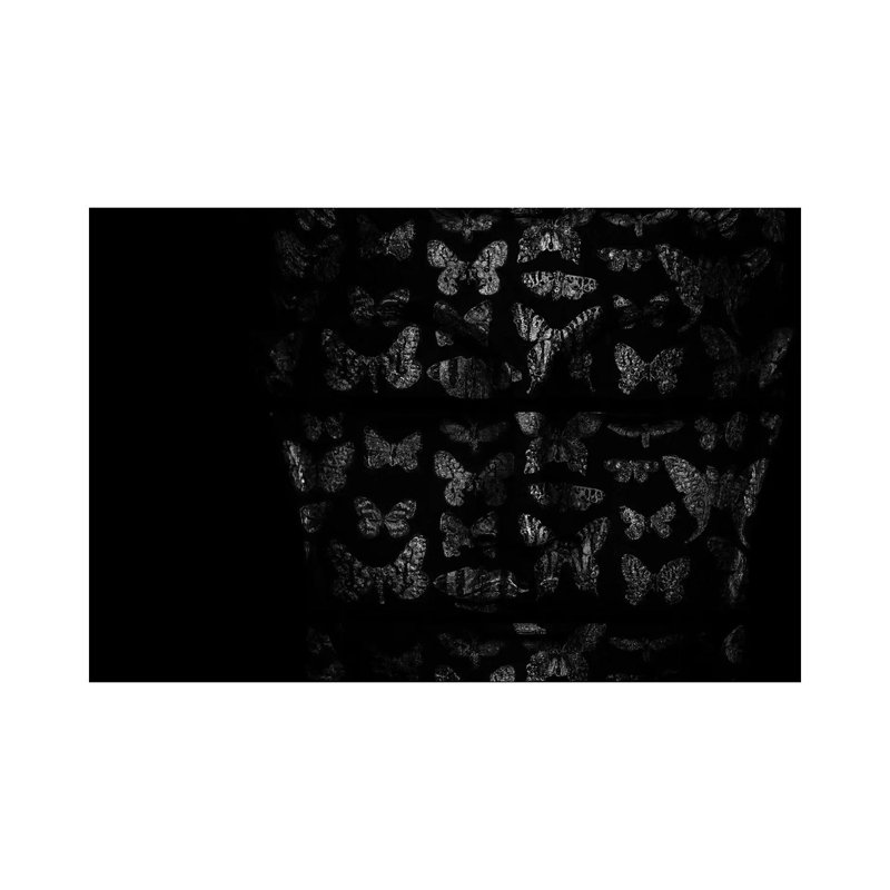 Transcendance II 1 Piece Wrapped Canvas Wall Art, 66.04 cm H x 45.72 cm W x 3.175 cm D