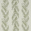 Schumacher x Celerie Kemble Tasmanian Mimosa Wallpaper