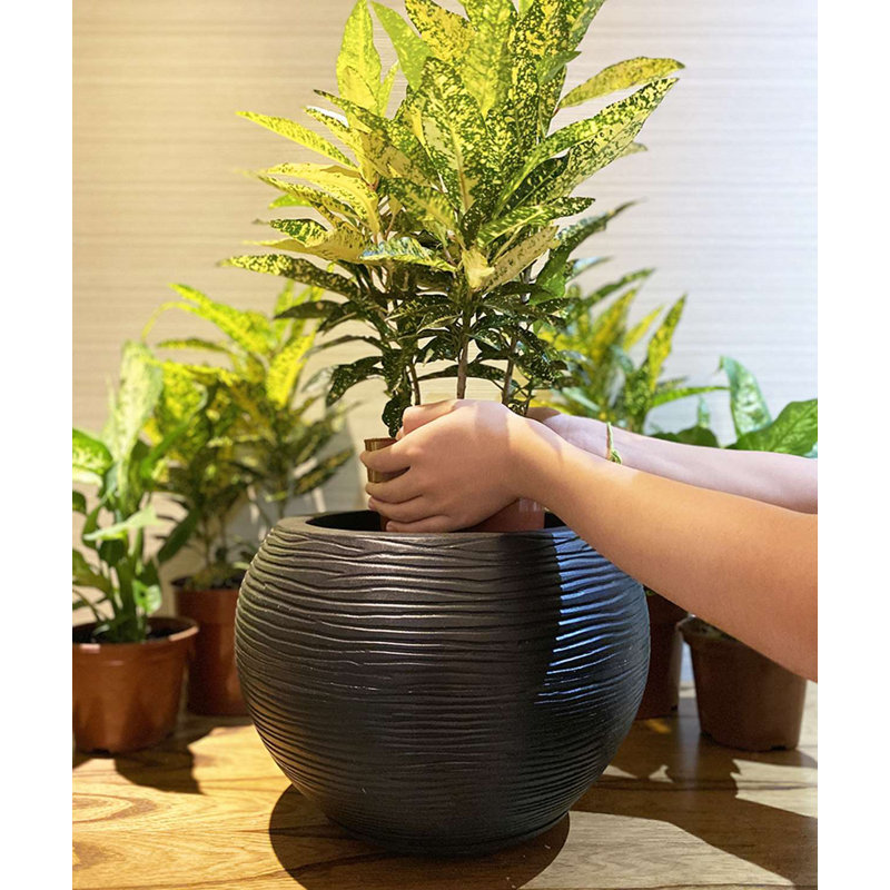 Black Polyethylene Resin Indoor/Outdoor Planter with Saucer