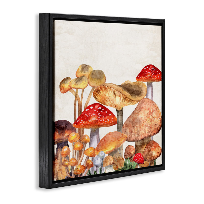 Champignons rustiques des bois, Cadre flottant noir de jais, H 25 po x l 25 po