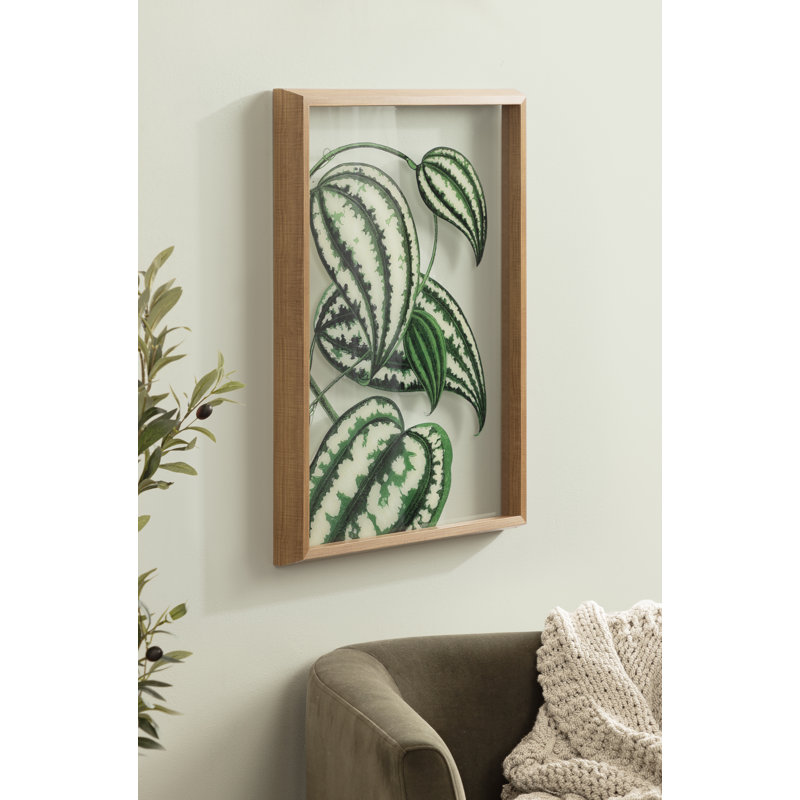 «Smilax Macrophylla Edward Joseph Lowe» par Nostalgia Prints, impression sur toile encadrée