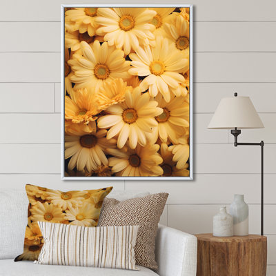 " Daisies Golden Daisies "