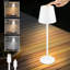 Renesca Metal USB Table Lamp-989892726-989892727