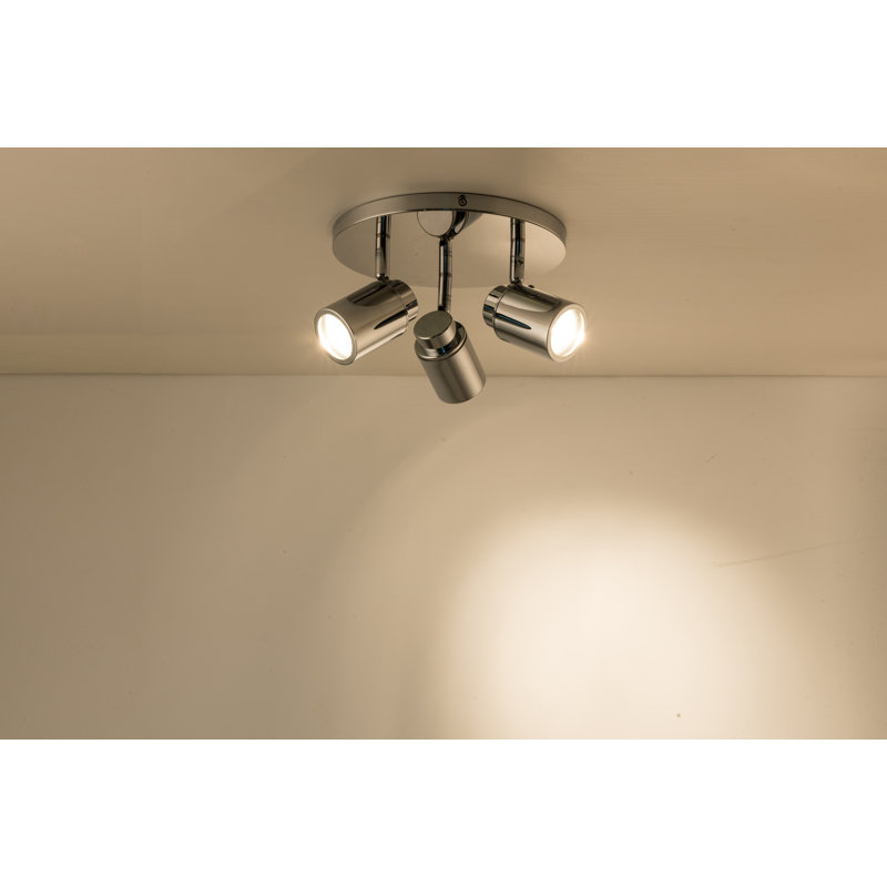 Auer Spotlight