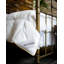 Budapest Goose All Season Down Comforter-236942776