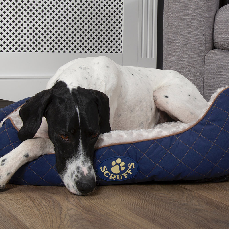 Wilton Polyester Pet Bed, Blue/White, 19cm H x 75cm W x 60cm D