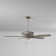54" Classica 5 - Blade Standard Ceiling Fan with Pull Chain