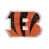 Cincinnati Bengals