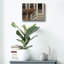 «Home» par Zhen-Huan Lu, art mural en verre acrylique, 36 po x 24 po-852728474