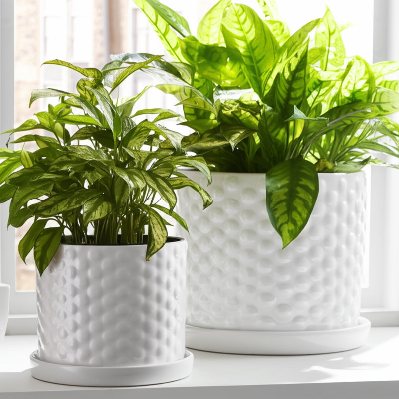 Handmade Ceramic Planter Set