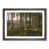 Walnut Framed selected