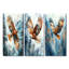 Aigle en vol I - Collection de reproductions de toiles d'oiseaux-797078770-797078780-797078781