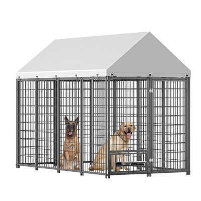 Grand enclos pour chien chenil pour l'extérieur