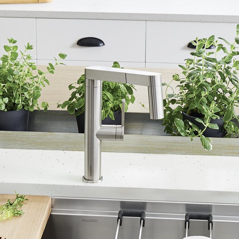 Panera Pull Out Kitchen Faucet