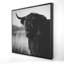 Belle vache Highland monochrome | Art sur toile de ferme-119950832