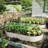 8x4x1ft Galvanized Raised Garden Bed Kit for Vegetables and Flowers & Herbs