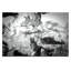 Photographers Lane - Wrapped Canvas Print-22471487