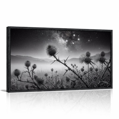 Black And White Thistle Field Under Starry Night Sky Canvas Wall Art