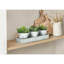 Plantes artificielles, ensemble de 3, hauteur 6 ", plante grasse, pots en métal argenté, contemporain, moderne