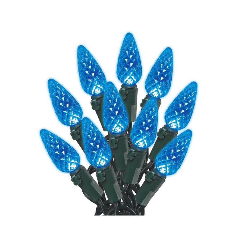 Guirlande de 100 lumières, Bleu, 100