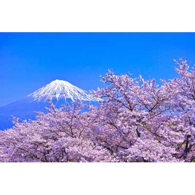 " Mount Fuji " by 7Maru