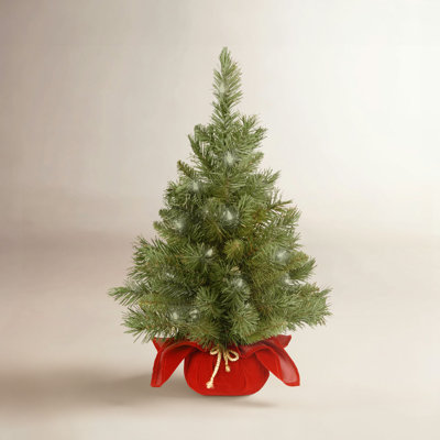 2' Majestic Fir Christmas Tree with 35 Clear Lights