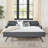 Twin Size Upholstery Daybed With Twin Size Erectable Trundle And USB Charging Design, Linen-1616839491