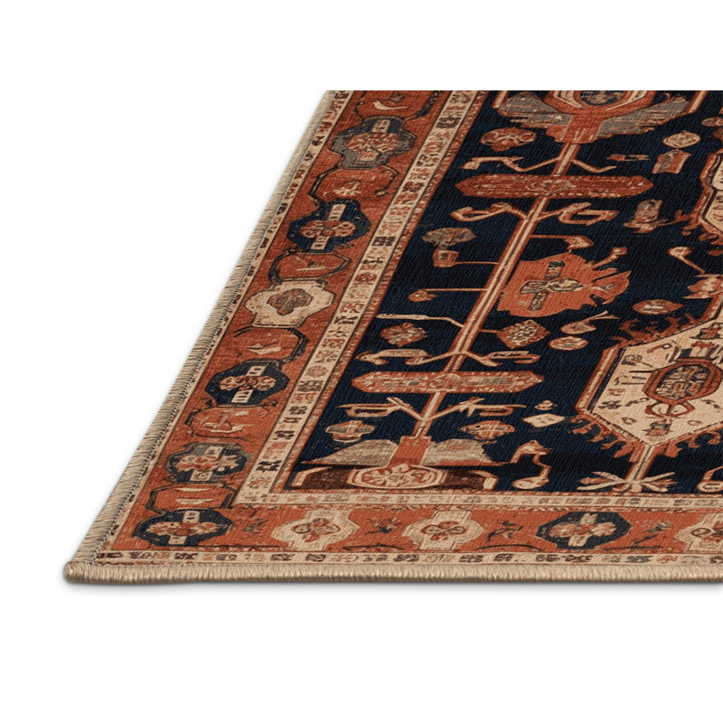 Machine Washable Turkish Brown Area Rug, Rectangle 2' x 3'