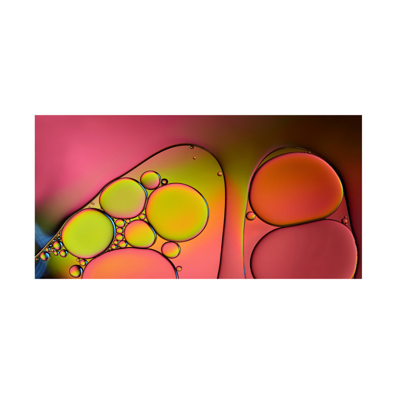 Art sur toile, "Heidi Westum Neighbours", H 10 po x l 19 po