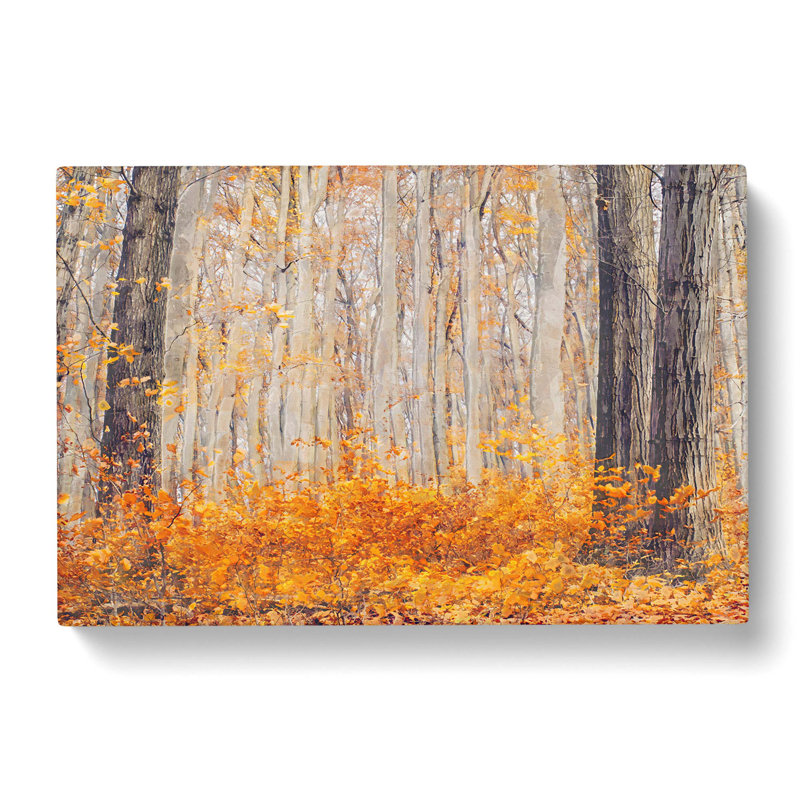 Orange Forest - Wrapped Canvas Print, 40cm H x 60cm W x 3cm D
