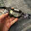Customer photo 4 of 4